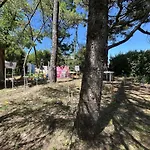 Sj000-033 - 2 Pieces - 2 A 3 Couchages - Jean De Monts * Saint-Jean-de-Monts